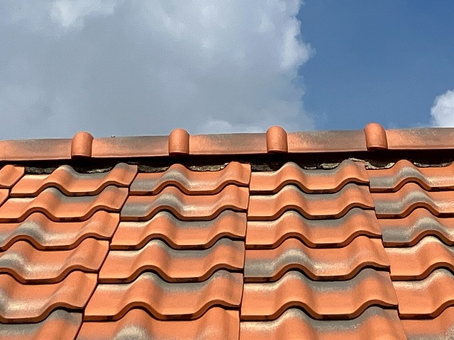 瓦の劣化はなし